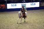 Quadrille - 00174